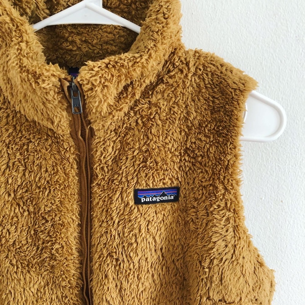 Patagonia Synchilla Vest